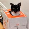 shuhan_1226